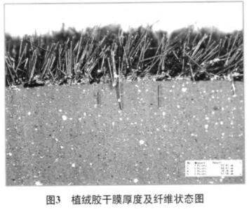 QQ截图20191114113053.jpg